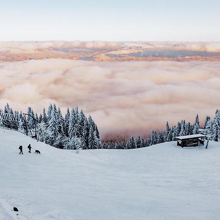 Orea Hotel Spicak Sumava Železná Ruda Eksteriør billede
