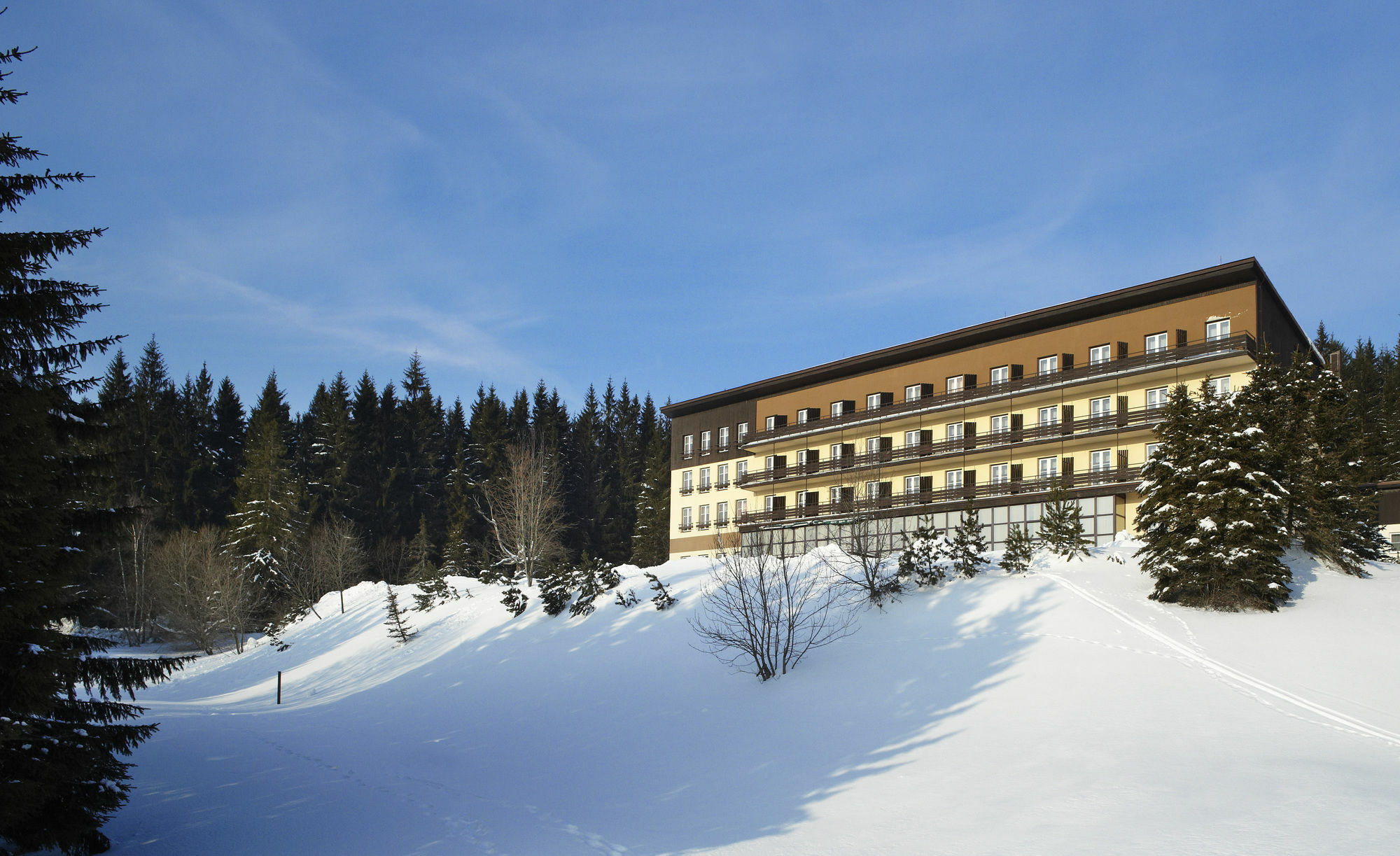Orea Hotel Spicak Sumava Železná Ruda Eksteriør billede